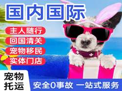 重庆机场空运国际宠物托运 【国
